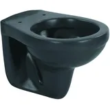 Sanicomfort Wand-WC mit WC-Sitz Anthrazit matt