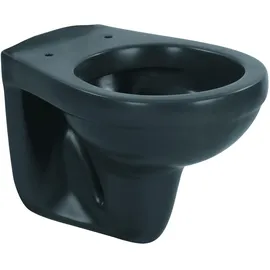 Sanicomfort Wand-WC mit WC-Sitz Anthrazit matt