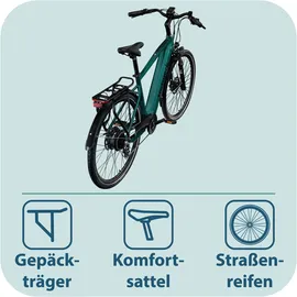 Tretwerk Onyx 2023 28 Zoll RH 52 cm dunkelgrün metallic