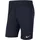 Nike Park 20 Dri-FIT Knit Coach/Travel Shorts Herren obsidian/obsidian/white S