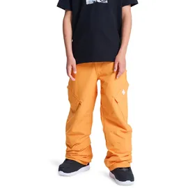DC Shoes Banshee Schneehose Oriole 14 Jahre