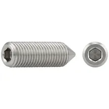 F. REYHER Nchfg. GmbH & Co. KG Gewindestift M 6 x 45 A 4 100 Stück