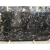 Couchtischplatte Marmorplatte Waschtischplatte echte Fossilien Kalkstein schwarz