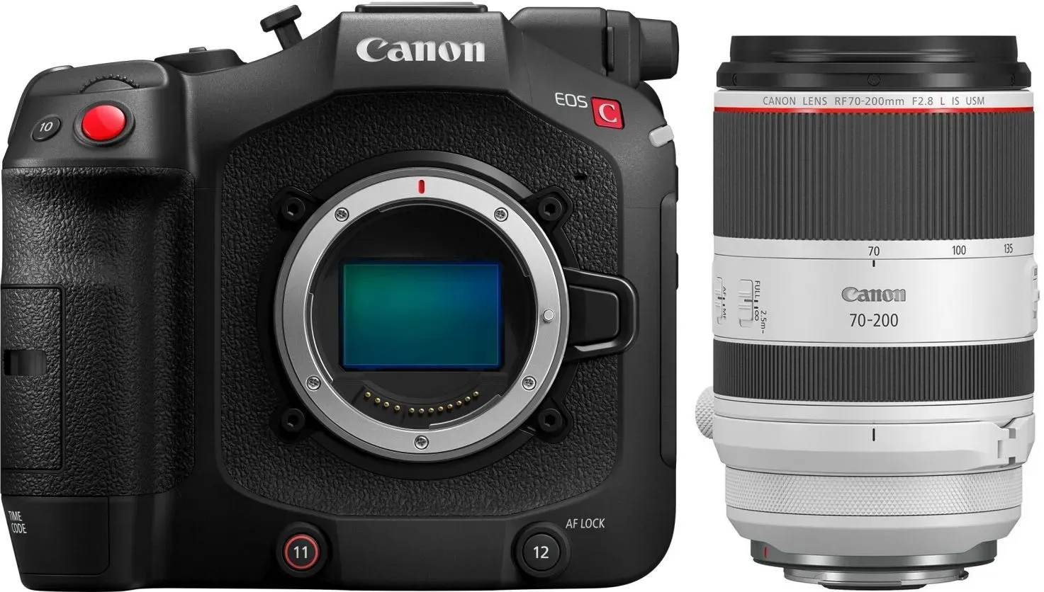 Canon EOS C80 + RF 70-200mm f2,8 L IS USM