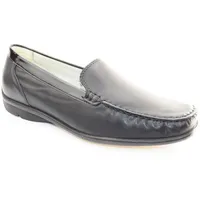 WALDLÄUFER Harriet, (431000)