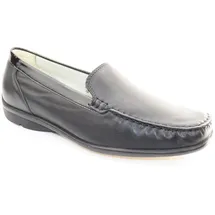 WALDLÄUFER Harriet, (431000)