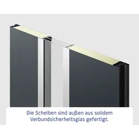 EcoStar Haustür ISOPRO IP 810S anthrazit metallic 110 x 210 cm