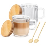 Cappuccino Gläser mit Henkel 2er Set, 350ML Latte Macchiato Gläser mit Deckel und Löffel, Vintage vertikale Streifen klare kaffeegläser, Teegläser Coffee Cup für Cappuccino, Latte, Getränke