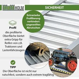 Trutzholm Schwerlastrampen 265 cm 3300 kg