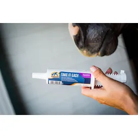 Cavalor Take it easy Paste 60 ml