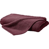 Primera Strickdecke 545001