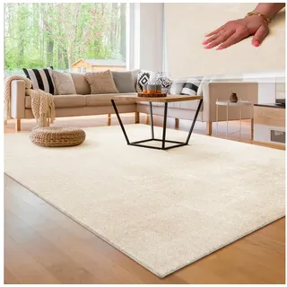 160 x 220 cm cream