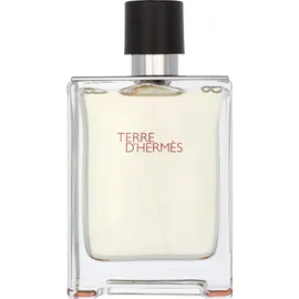 Hermès Terre d'Hermès Eau de Toilette 100 ml