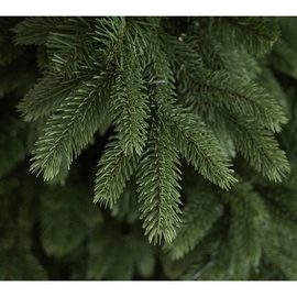 Evergreen Weihnachtsbaum Roswell Kiefer 210 cm
