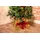 Grundig Weihnachtsbaum Rock Korb 45 x 45 x 27,5 cm Rot