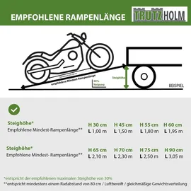 Trutzholm Auffahrrampe 400 kg