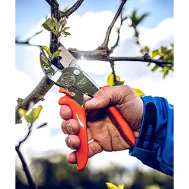 Original LÖWE Gartenschere 10.107