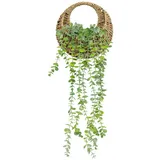 Atmosphera Créateur d'intérieur Eukalyptus in grün | Gr.: onesize