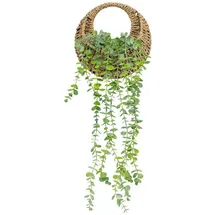 Atmosphera Créateur d'intérieur Eukalyptus in grün | Gr.: onesize