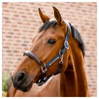 Horseware Halfter Horseware Signature Competition anatomisches Lederhalter