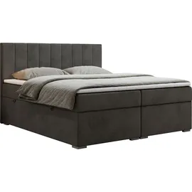 MKS Meble BOXBETT LOPE 160/200 - Dunkelgrau Velvet - H4