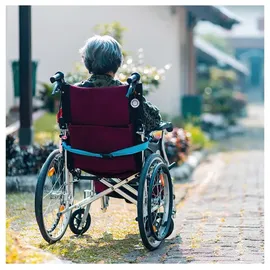 Logilink Smart Home Wi-Fi SOS Button