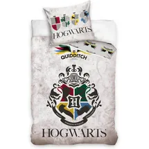 HARRY POTTER Hogwarts Grau 135 x 200 cm + 80 x 80 cm
