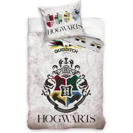 HARRY POTTER Hogwarts Grau 135 x 200 cm + 80 x 80 cm