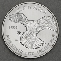 Royal Canadian Mint Silbermünze Birds of Prey - Falcon