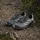 adidas Terrex Trailmaker 2 Gore-Tex Speed Lace Wanderschuh - Grey Six / Multisportschuhe Gr 49 1/3