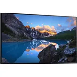 Dell UltraSharp U2424HWOS (ohne Standfuß), 23.8"
