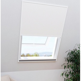 WINDHAGER Insektenschutzrollo für Dachfenster, 2in1 EXPERT, Windhager, transparent, verschraubt, mit Plissee, BxH: 110x160 cm weiß