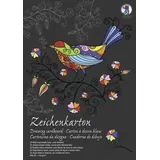 Buntpapierfabrik Ludwig Bähr Zeichenkarton-Block "Sonderedition", DIN A3