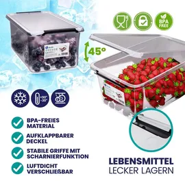 DEUBA Aufbewahrungsbox 20 x 12 x 30 cm 6-tlg. transparent