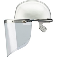 Voss-Helme Gesichtsschutzschild, PC 500x250 mm klar