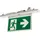 RIDI Homelight Ridi-Leuchten Rettungszeichen-Modul VLMF-HW-C 500-7 Z-UR