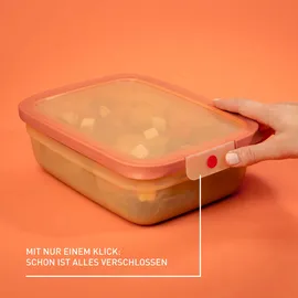 Emsa Frischhaltedose rechteckig orange 20,19 cm x 25,97 cm 2,3 l