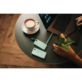 Verbatim Pocket SSD 1 TB USB 3,2 Gen 2 Polar Blau 32324