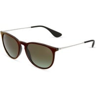 Ray Ban Erika RB4171 6316E8 54-18 polished black/brown