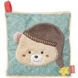 Fehn Wärmekissen Bär, 16 x 16 cm, mit Kirschkernen, mit waschbarem Plüschbezug, für Mikrowelle und Backofen