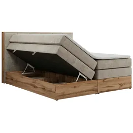 MKS Albero 1 King 160 x 200 cm H3 Beige