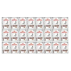 ROYAL CANIN Gastro Intestinal GI25 24x400g
