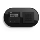 Gira Internetradio IP Set mit Lautsprecher und 2-Fach Rahmen Glas schwarz Badradio