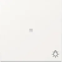 Gira 367403 Wippe Kontrollfenster Symbol Licht System 55, reinweiß