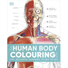 DK The Human Body Colouring Book