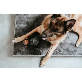 Hunter Orthopädische Hundematte Tirano L 100 x 65 cm grau