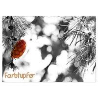 Calvendo Farbtupfer (Wandkalender 2026 DIN A2 quer), CALVENDO Monatskalender: