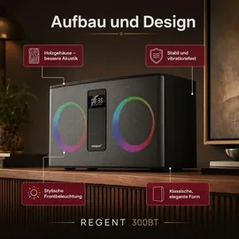 Ferguson Regent 300BT schwarz