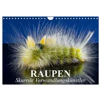 Calvendo Raupen - Skurrile Verwandlungskünstler (Wandkalender 2026 DIN A4