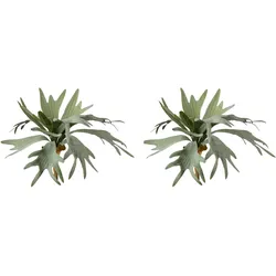 Kunstzweig CREATIV GREEN "Geweihfarn", grün, H:35cm, Obermaterial: 100% Polyethylen, Kunstpflanzen